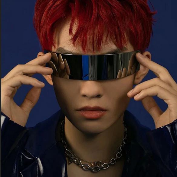Cyberpunk Sunglasses (Back to The Future Style) Many colors or Mirror Available Lord and Lady Towers