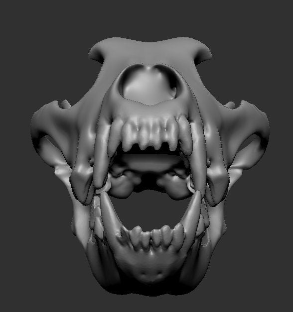 Download only Wolf Skull Helmet 3d Print STL Files for Cosplay and Post Apocalyptic Wasteland. *STL file only* Lord and Lady Towers