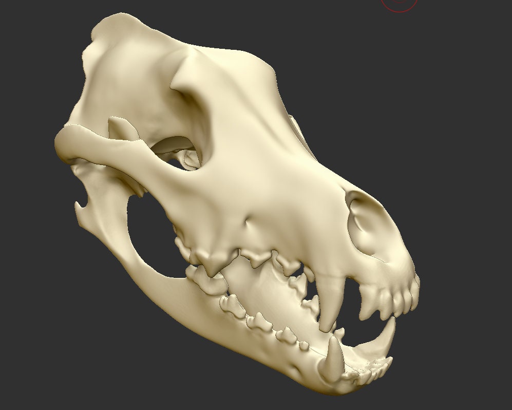 Download only Wolf Skull Helmet 3d Print STL Files for Cosplay and Post Apocalyptic Wasteland. *STL file only* Lord and Lady Towers